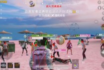 和平精英【内部丫丫】辅助