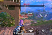 和平精英【内部M】辅助