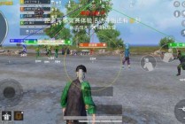 和平精英玩家关于模拟器使用问题的看法和解决方案