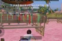 《和平精英》高手经验分享：综合技巧助你吃鸡成功